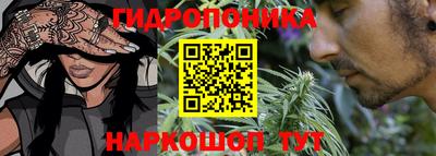 прущая мука Кимры